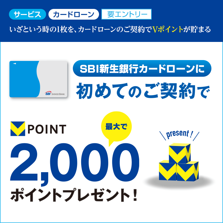 Vポイントをもらおう！プログラム