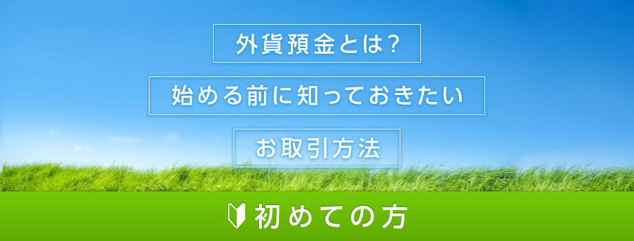 外貨預金とは？始める前に知っておきたいお取引方法