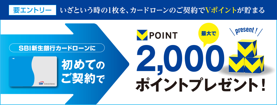 Vポイントをもらおう！プログラム