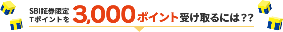 SBI証券限定Tポイントを3,000ポイント受け取るには？？