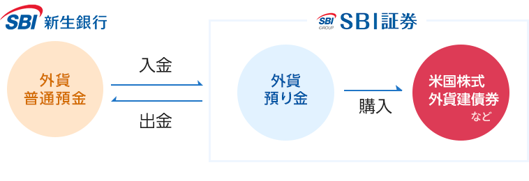 SBI新生銀行の外貨預金とSBI証券の外貨預り金は入出金できる！