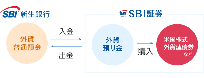 SBI新生銀行の外貨預金とSBI証券の外貨預り金は入出金できる！
