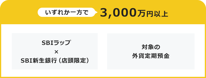 いずれか一方で3,000万円以上・SBIラップ×SBI新生銀行（店頭限定）・対象の外貨定期預金