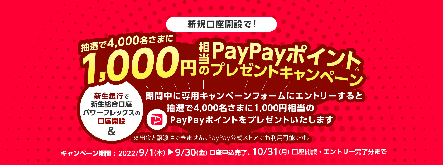 新規口座開設でPayPayポイントプレゼントキャンペーン