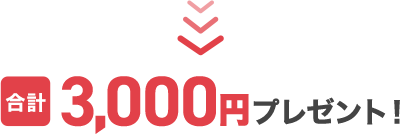 合計3,000円プレゼント