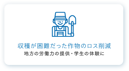 収穫が困難だった作物のロスを削減し、地方の労働力の提供・学生の体験に