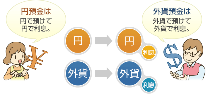 円預金は、円で預けて円で利息。外貨預金は、外貨で預けて外貨で利息。