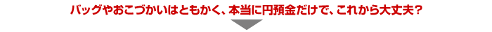 バッグやおこづかいはともかく、本当に円預金だけで、これから大丈夫？