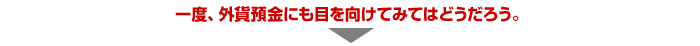一度、外貨預金にも目を向けてみてはどうだろう。