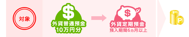 対象 外貨普通預金10万円分→外貨定期預金 預入期間6ヵ月以上