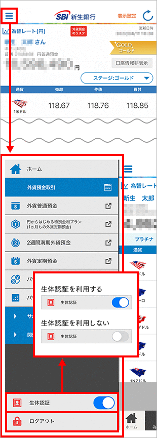 キャプチャ画像
