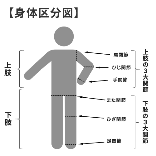 身体区分図