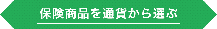 保険商品を通貨から選ぶ