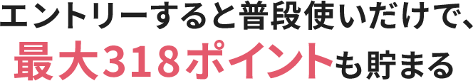エントリーすると普段使いだけで、最大318ポイントも貯まる